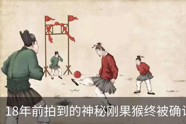 18年前拍到的神秘刚果猴终被确认为新物种，或已濒危